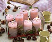 Kerzen dekoriert mit Hedera (Efeu), Zapfen von Pinus (Kiefer) auf Malus