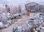 Rosengarten im Rauhreif