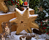 Star made of wood in the snow, cones of Picea (spruce)
