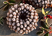 Wreath with cones of Larix (larch) in hoarfrost
