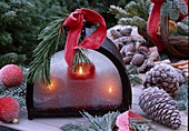 Lantern with burning candles, Pinus (pine), cones