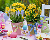 Easter table decoration with Primula elatior (tall primroses)