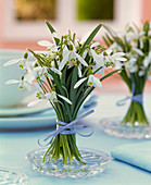 Small galanthus bouquet on glass plate