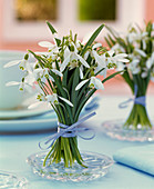 Kleiner Stehstrauß aus Galanthus (Schneeglöckchen) auf Glasteller