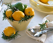 Citrus (Zitronen, Limetten) und Rosmarinus (Rosmarin) in Schale