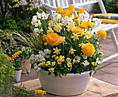 White-yellow bowl with Ranunculus (ranunculus), Narcissus