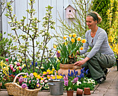 Spring terrace bed in spring