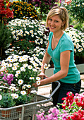 Woman buys Argyranthemum frutescens in the shopping cart