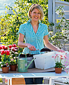 Plant white box with tulips and bellis