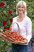 Woman with freshly picked Fragaria (strawberries) in flat basket