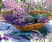 Lavandula (Lavendel) in Korb, Lavendelflaschen