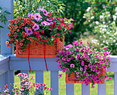 Orange baskets as alternative flower boxes