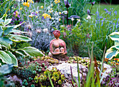 Woman sculpture on stone with Sempervivum (houseleek)