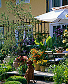 Wooden terrace with tub plants and parasol