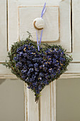 Herz aus Lavandula (Lavendel), die Stiele als Rahmen, die Blüten als Füllung