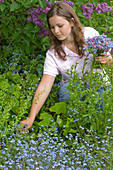 Woman picking bouquet of Myosotis (forget-me-not) and Dicentra