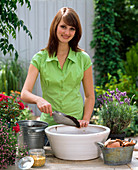 Planting a bowl with rose and lavender (1/5)