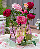 Paeonia (peony) in glass bottles