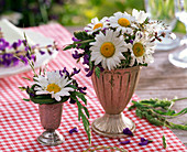 Small bouquets of Leucanthemum, Salvia