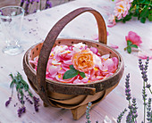 Pink (roses), petals and flower in basket