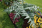 Summer border with flowers and vegetables