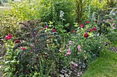 Summer border with flowers and vegetables