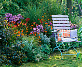 Bed with perennials and summer flowers