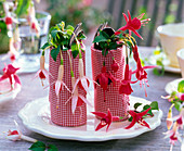Fuchsia (fuchsia) in rolled up red and white napkins with cutlery