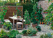 Lohas series: Terrace with lycopersicon (tomato), lathyrus odoratus (sweet pea), phaseolus coccineus (fire beans), cucurbita (courgette), potting tower and box with herbs