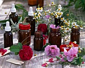 Homemade ointments and tinctures