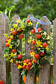 Wreath of Lycopersicon (tomatoes and tomato flowers)