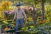 Großvater erntet Gemüse im Bauerngarten