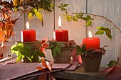 Kerzen in Tontöpfen, dekoriert mit Parthenocissus (Wildem Wein)
