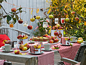 Apple table setting