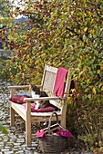 Wooden bench under malus (ornamental apple tree)