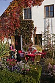 Terrasse an Haus mit Parthenocissus (Wildem Wein) bewachsen