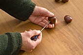 Chestnut heart on wire hanger