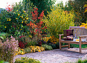 Herbstbeet an Terrasse