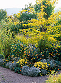 Bed with potted plants in yellow and silver grey