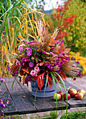 Autumn bouquet of Aster (autumn asters), Amelanchier (rock pear)