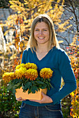 Frau mit Chrysanthemum grandiflorum (großblumigen Herbstchrysanthemen)
