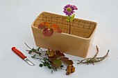 Autumn arrangement in ceramic jardiniere