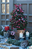 Weihnachtliches Tischarrangement mit Picea glauca 'Conica' (Zuckerhutfichte)