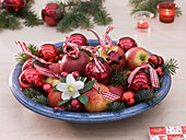 Christmas bowl with Malus (apples), Abies (fir tree)