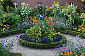 Bauerngarten mit Buxus (Buchs - Einfassung) im Hochsommer, Rondell mit blauer Rosenkugel, Helianthus (Sonnenblumen), Rudbeckia (Sonnenhut), Heliotropium (Vanilleblumen) und andere Sommerblumen
