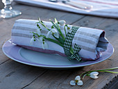 Galanthus nivalis (Snowdrop) on rolled up napkin