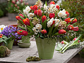 Frühlingsstrauß aus Narcissus 'Bridal Crown' (Narzissen), Tulipa (Tulpen)