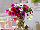 Bouquet of Anemone coronaria (Crown anemone) and Cytisus