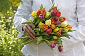 Woman brings bouquet of filled Tulipa (tulips)