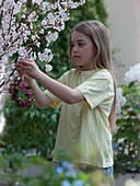 Girl hanging a small wreath of bellis (daisy)